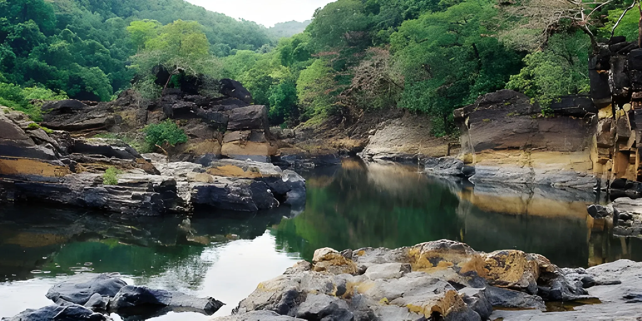 Cotigao Wildlife Sanctuary Goa and Kuskem Waterfall trekking.