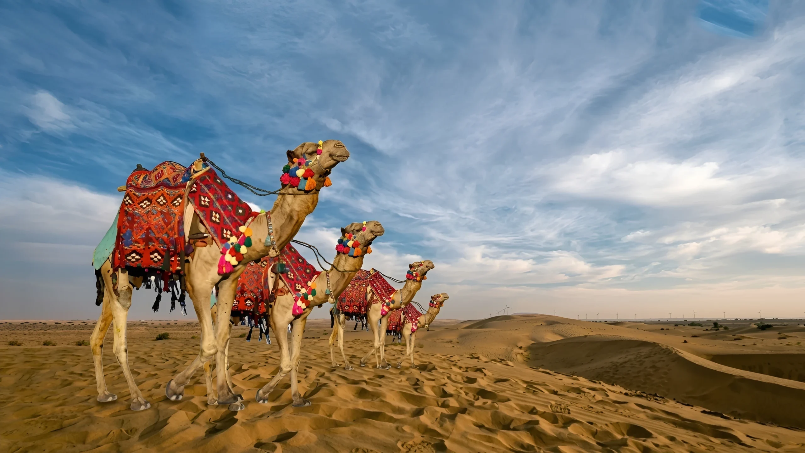 Jaisalmer – Desert Adventures & Cultural Immersion